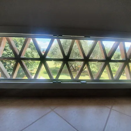 Casina- Il Cedro